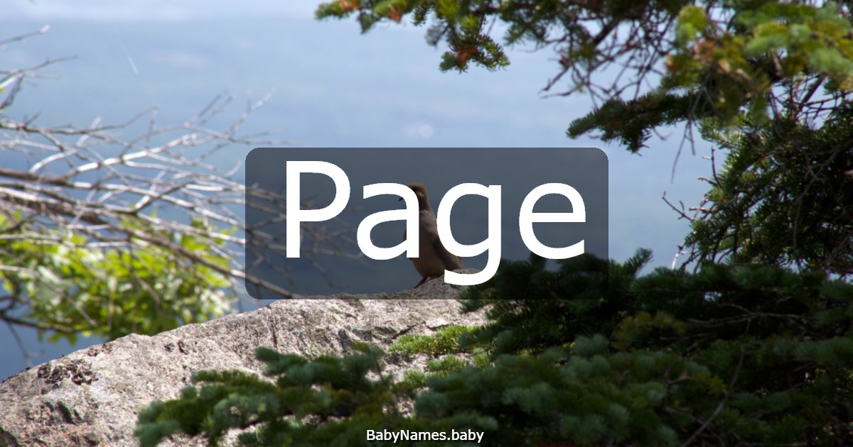 Page