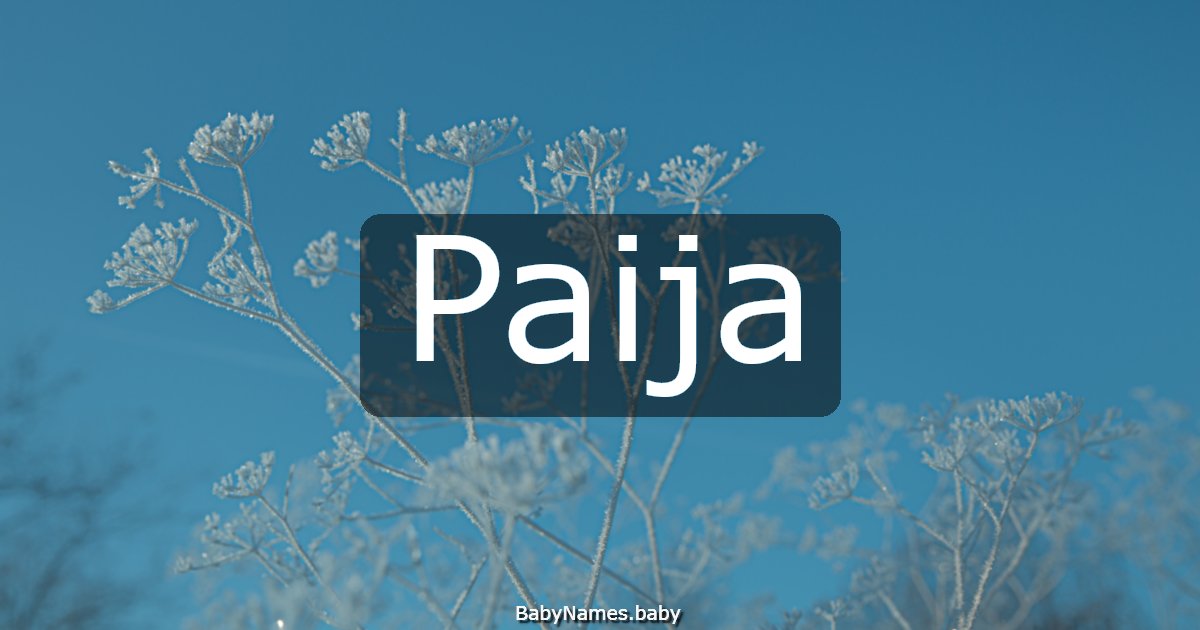 Paija