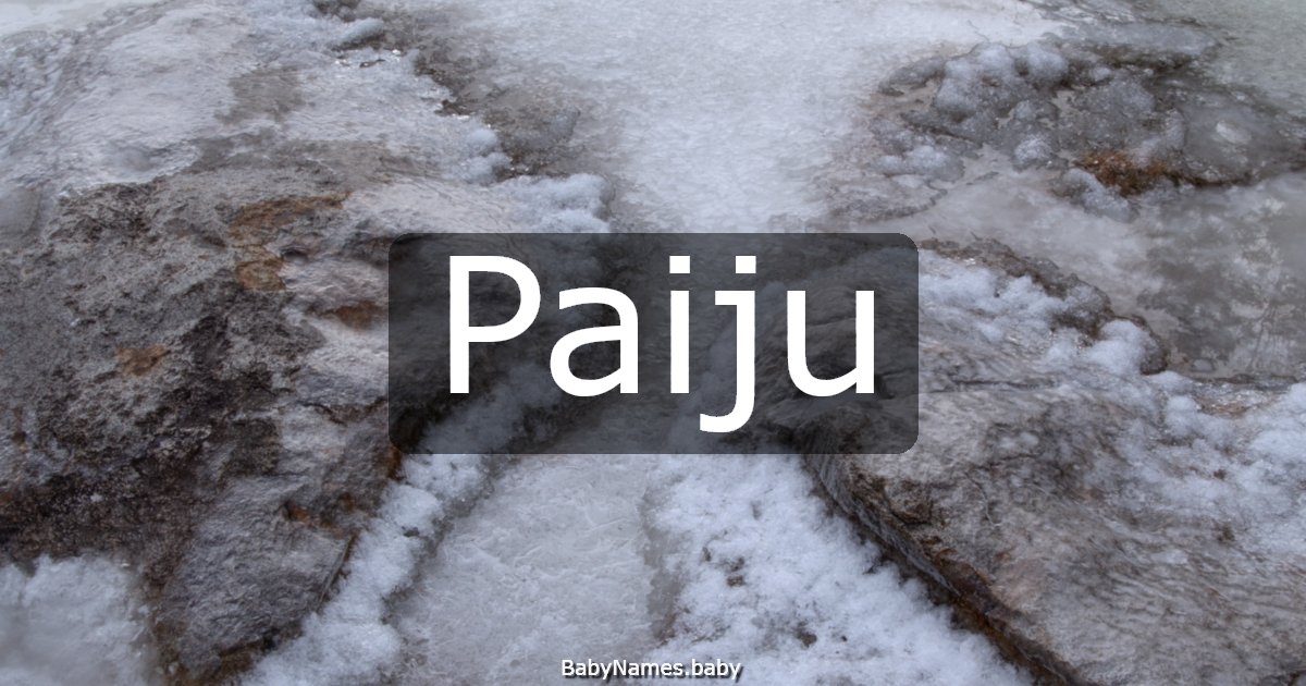 Paiju