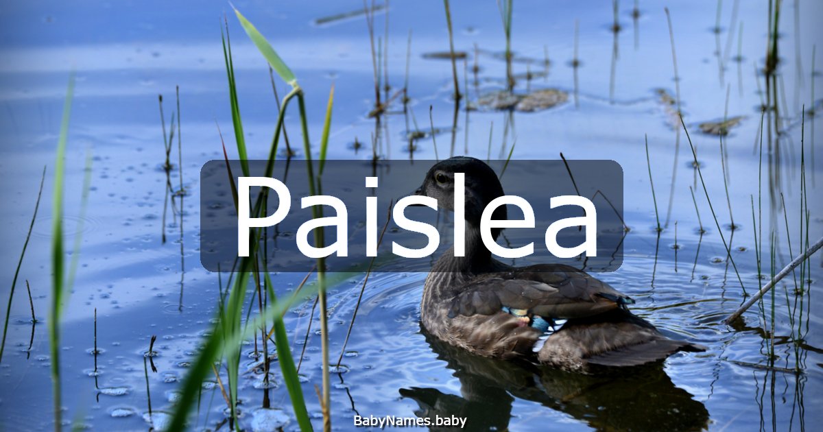 Paislea