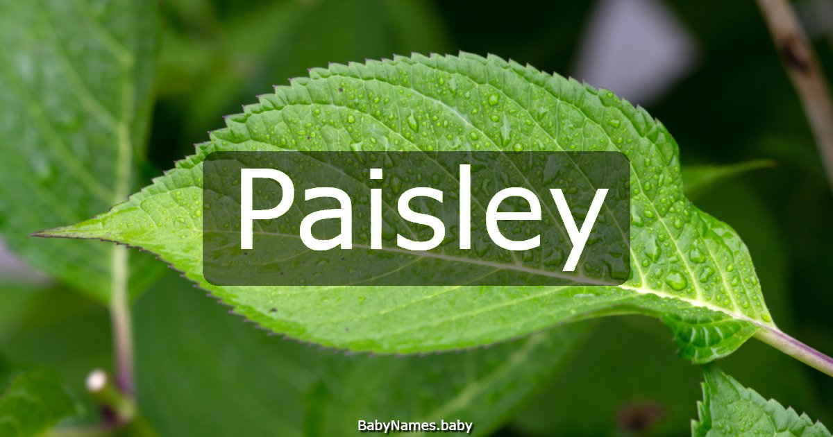 Paisley