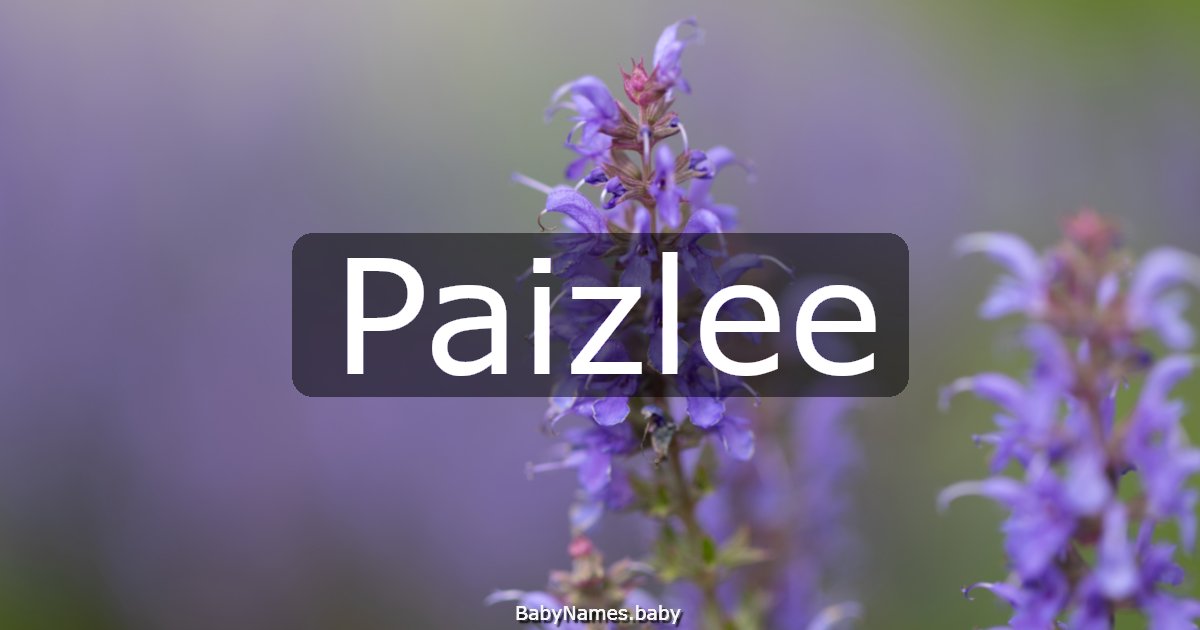 Paizlee