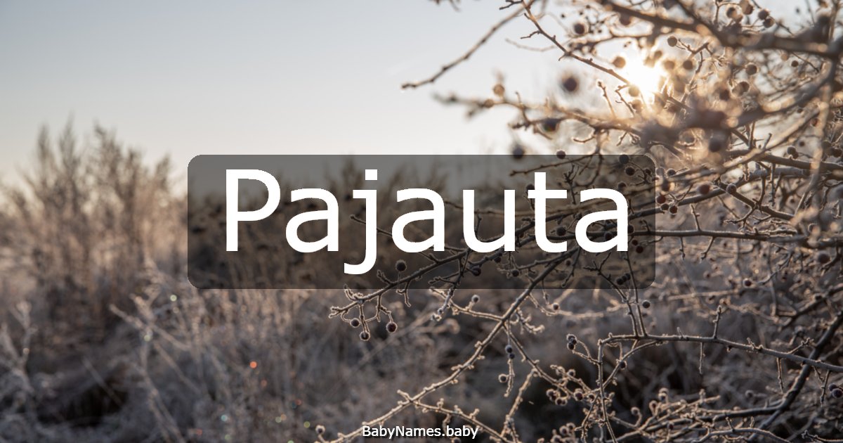 Pajauta