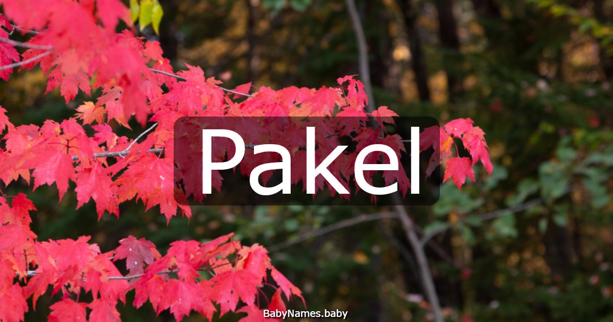 Pakel