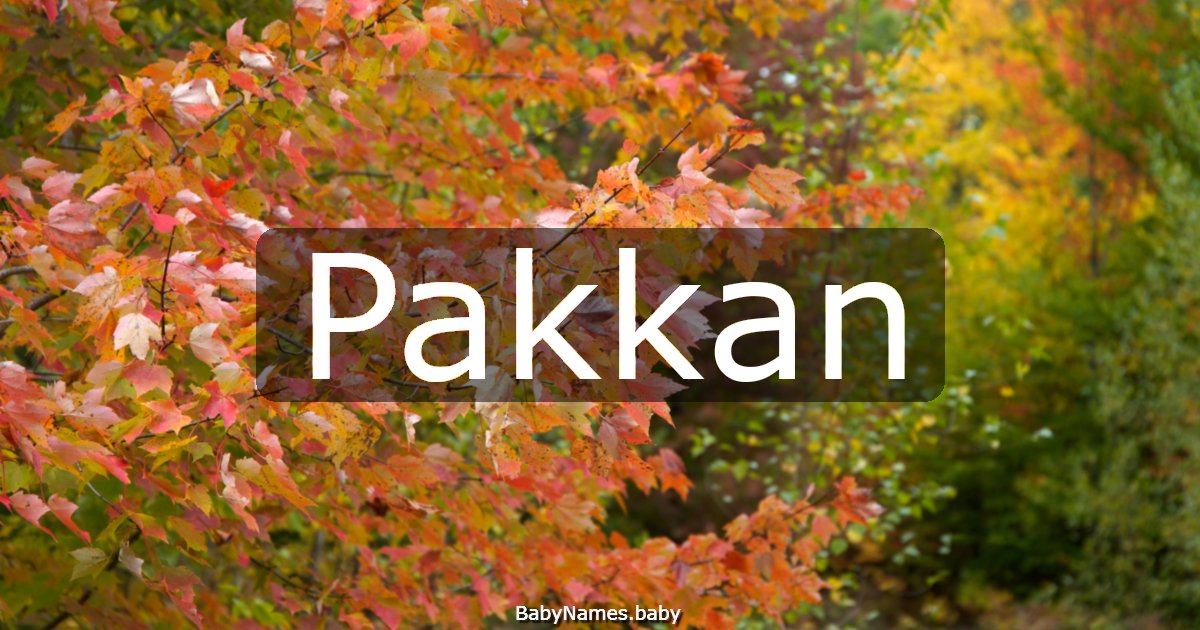 Pakkan