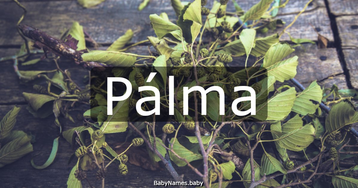 Pálma
