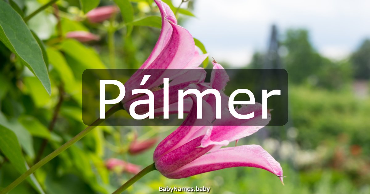 Pálmer