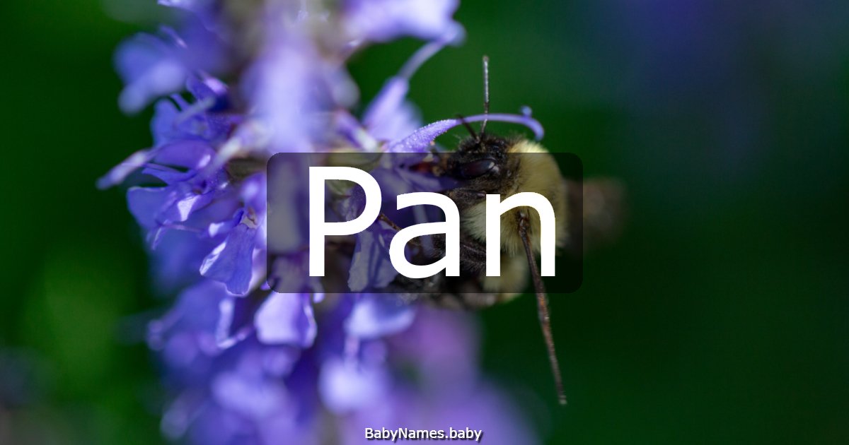 Pan