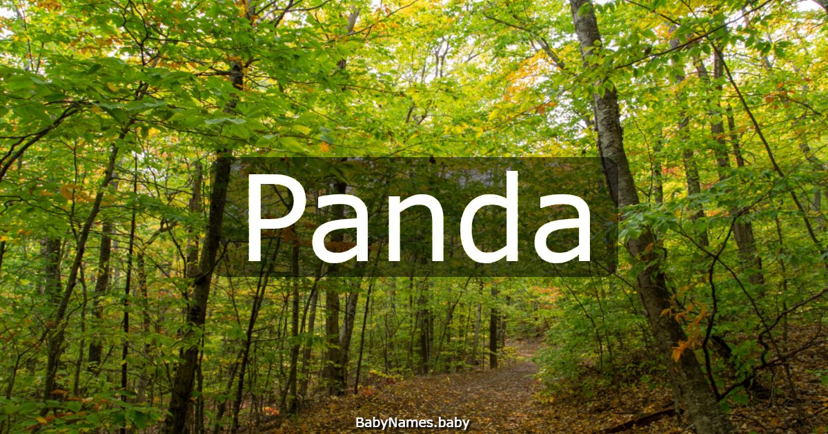 Panda