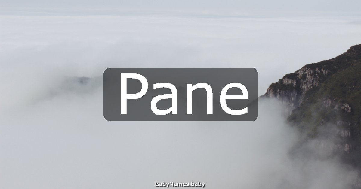 Pane