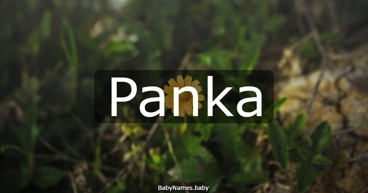 Panka