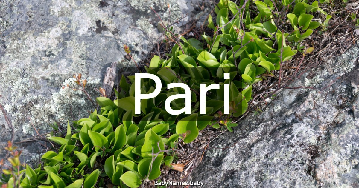 Pari