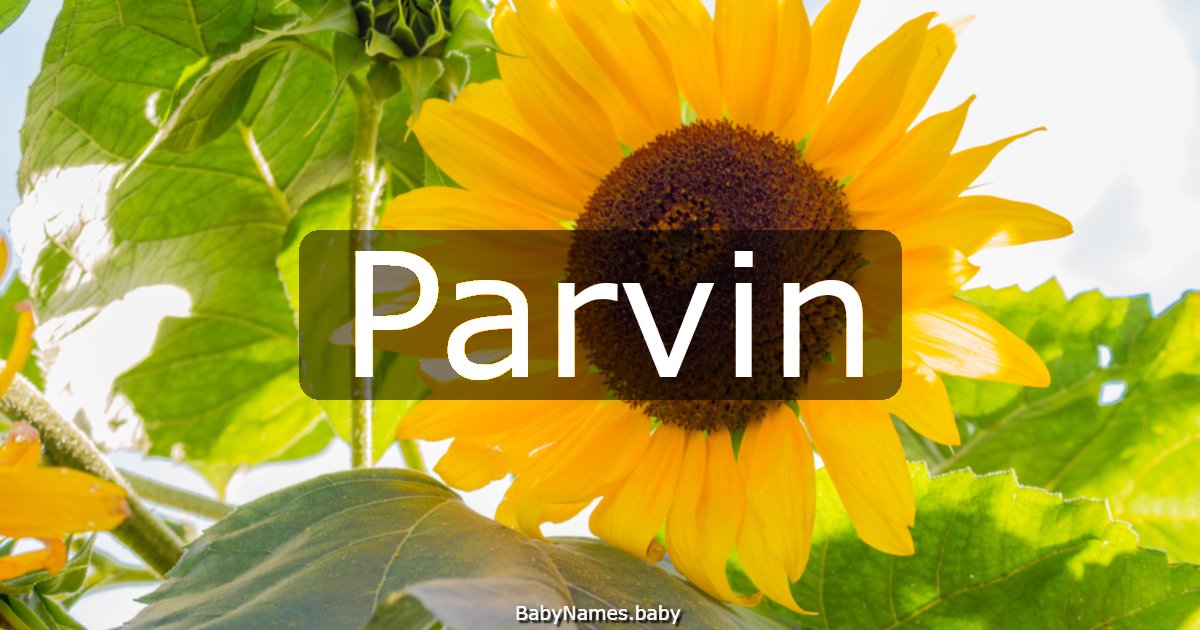 Parvin