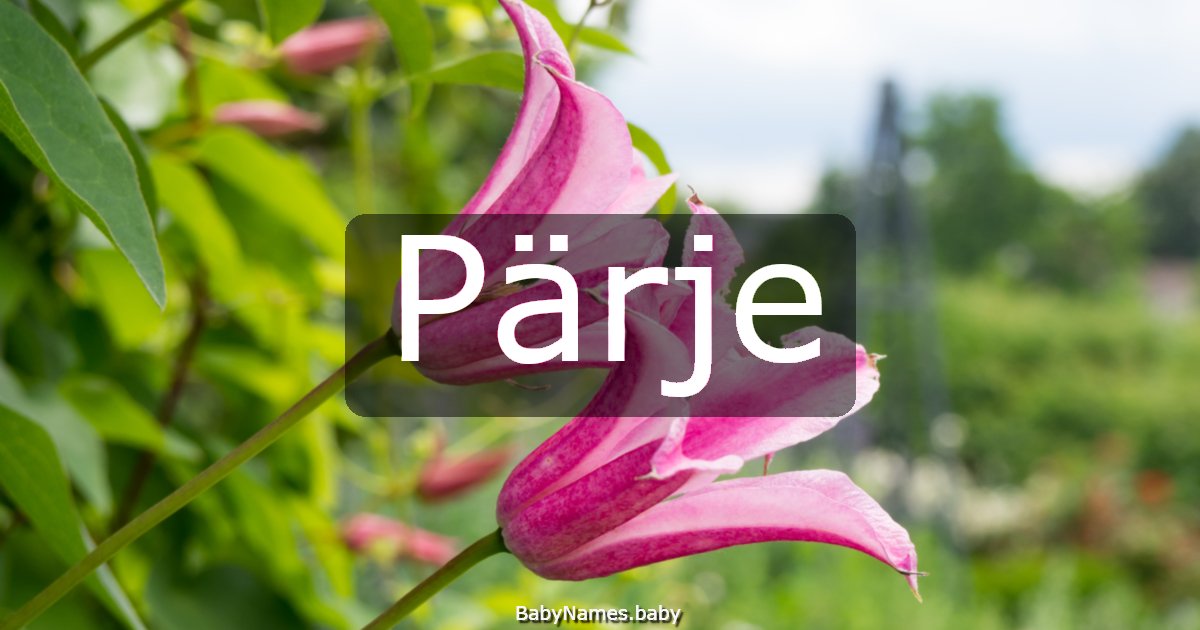 Pärje