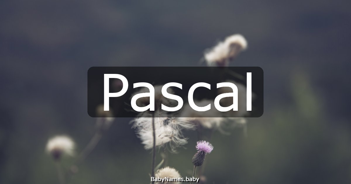 Pascal
