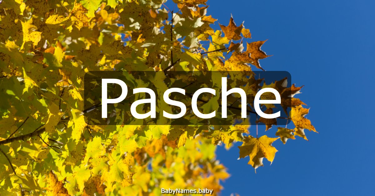 Pasche