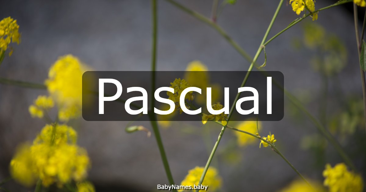 Pascual