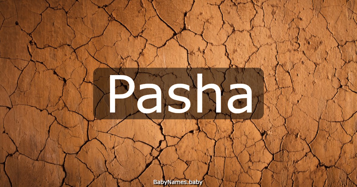 Pasha