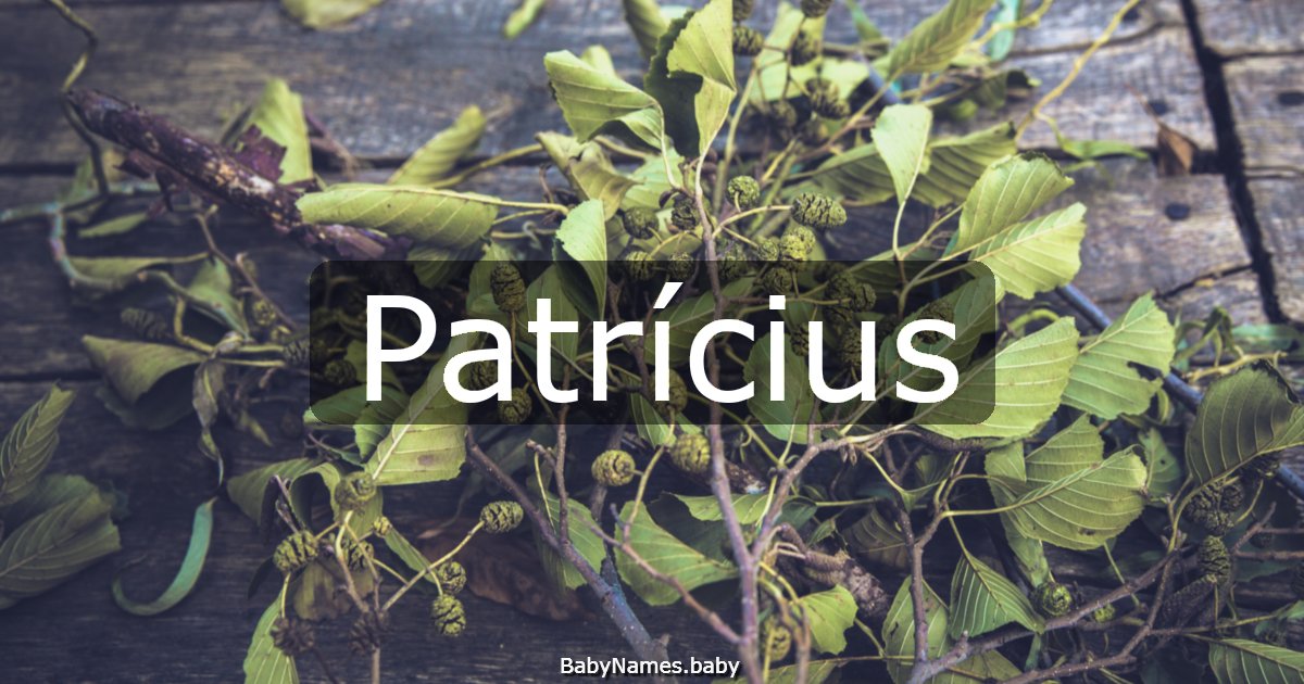 Patrícius