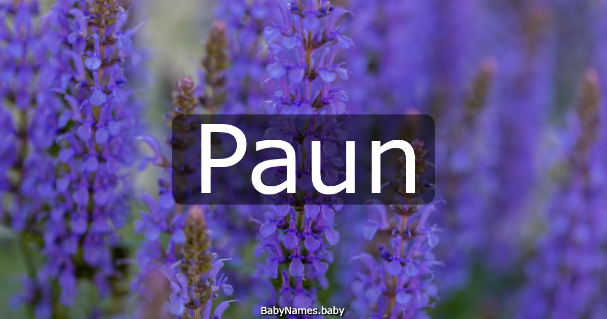 Paun