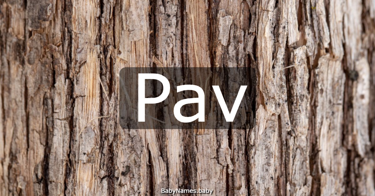 Pav
