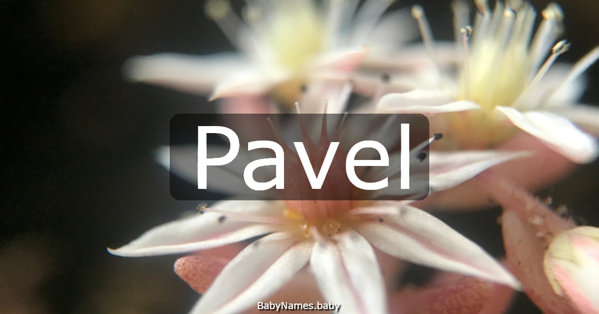 Pavel