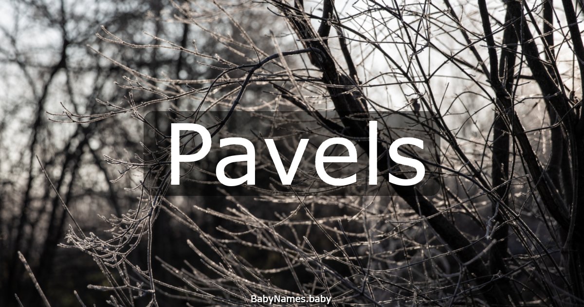 Pavels