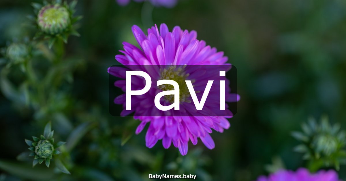 Pavi