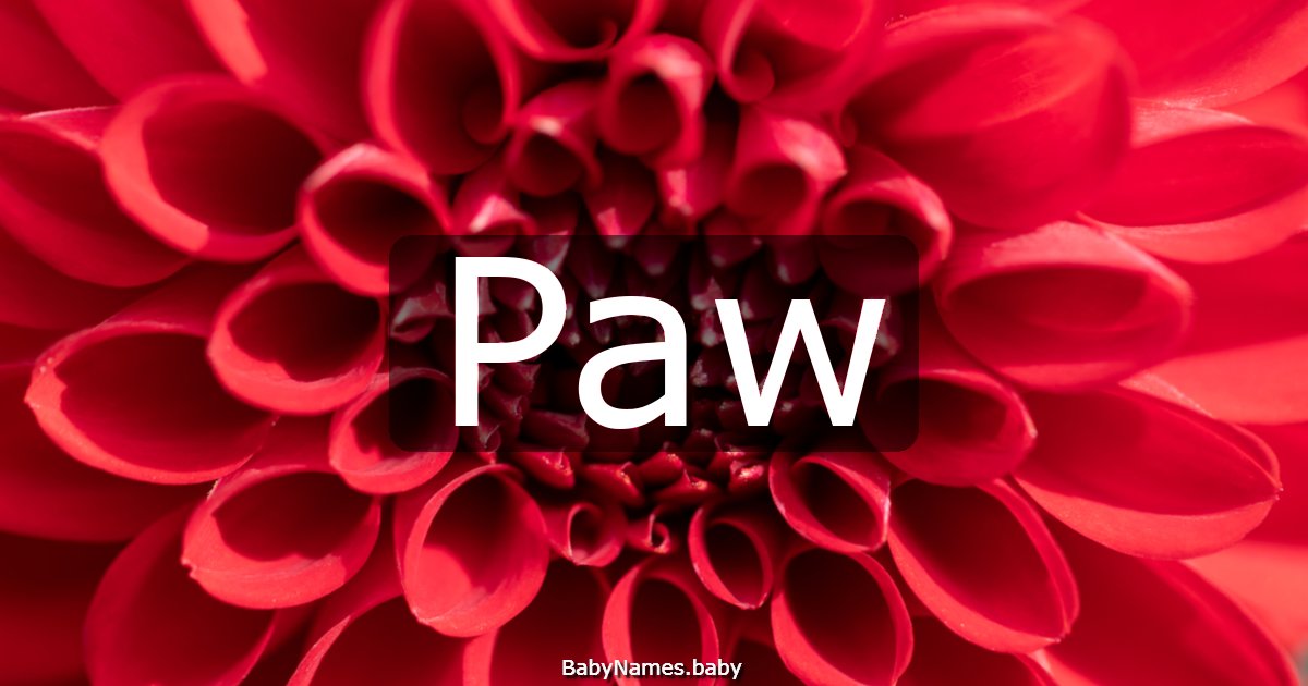 Paw