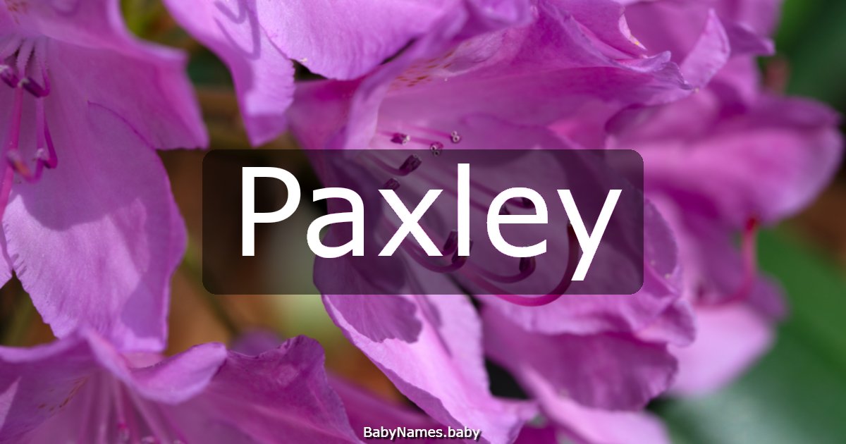 Paxley