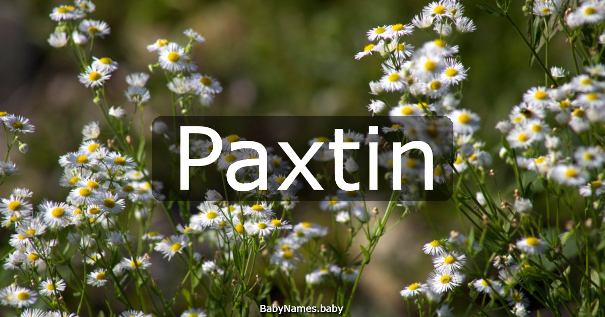 Paxtin