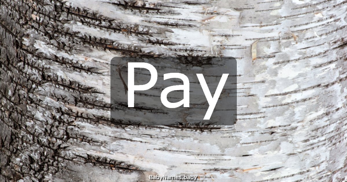 Pay