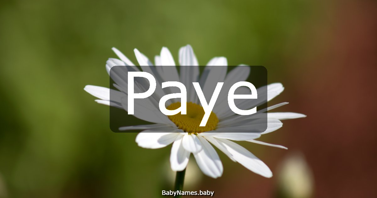 Paye