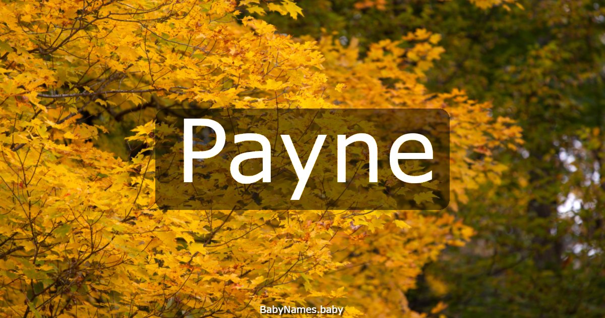 Payne