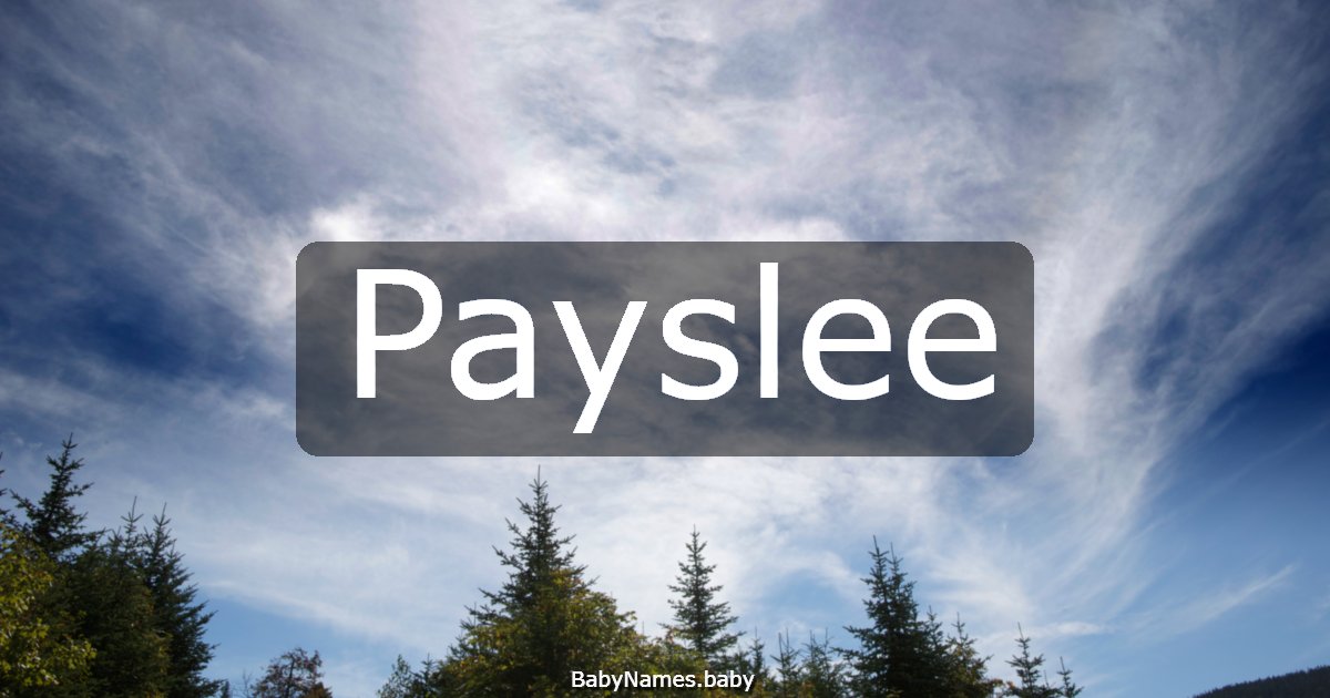 Payslee