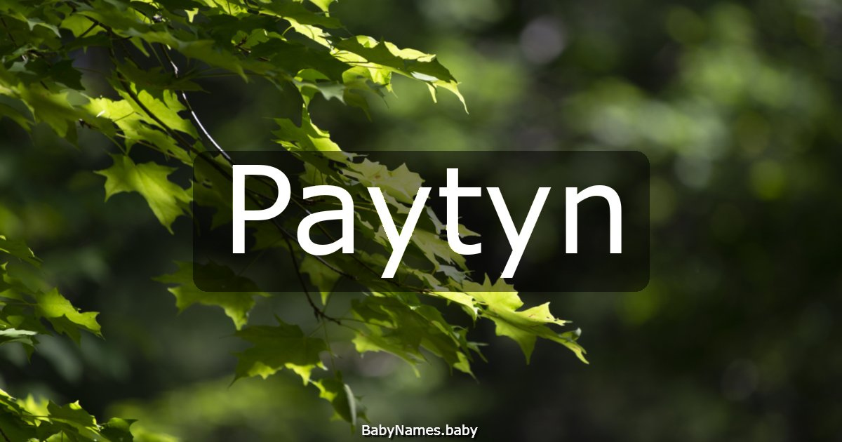 Paytyn
