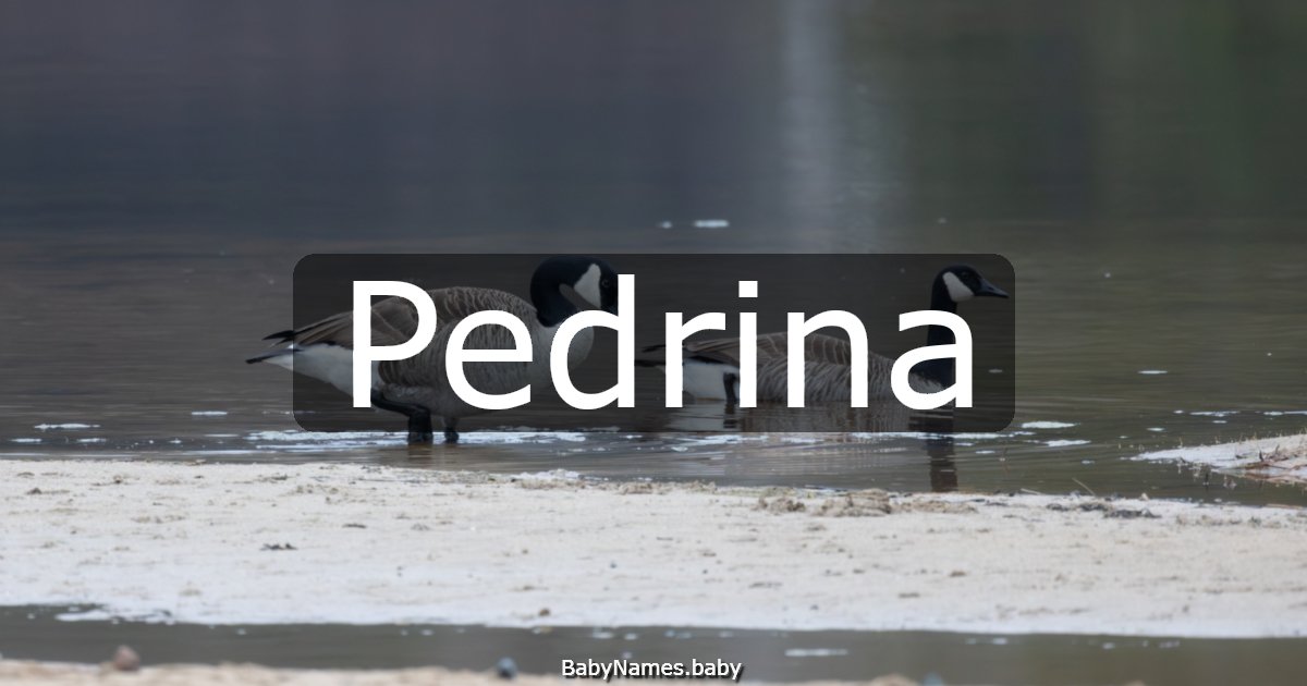 Pedrina