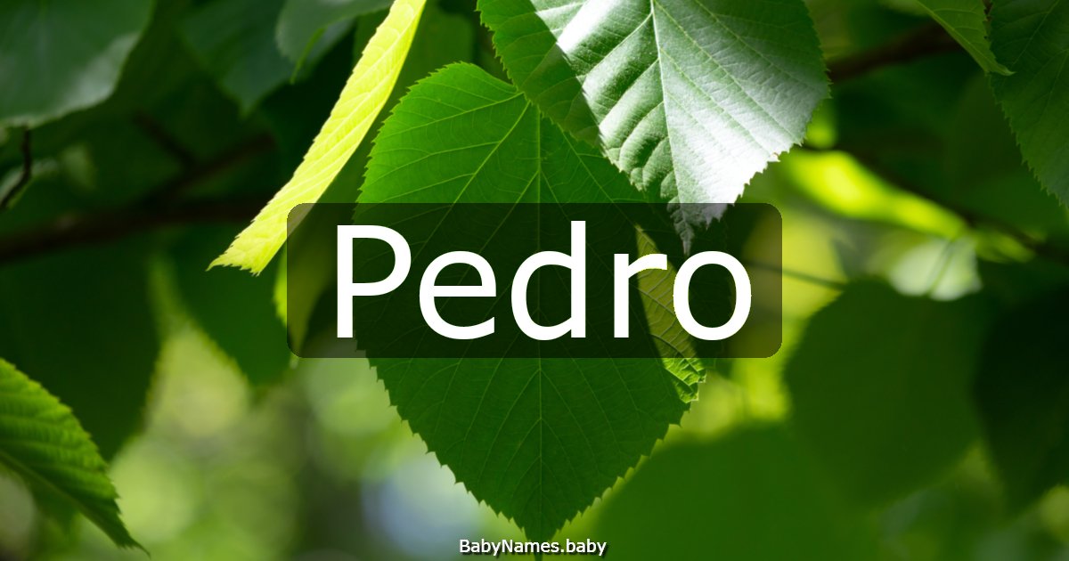Pedro