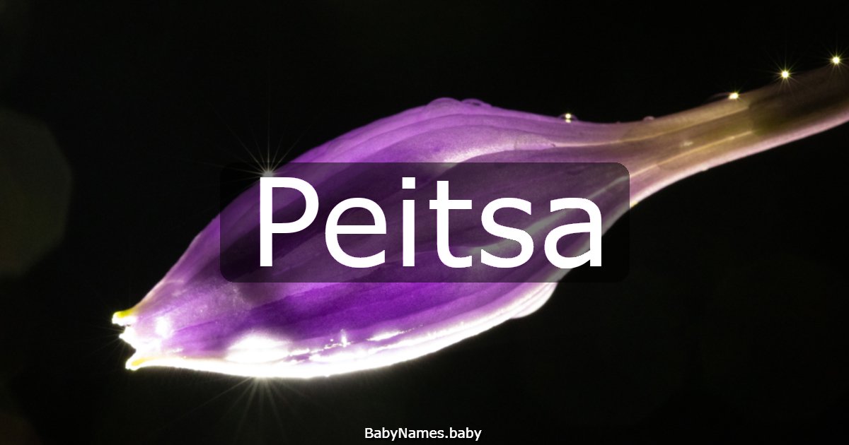 Peitsa