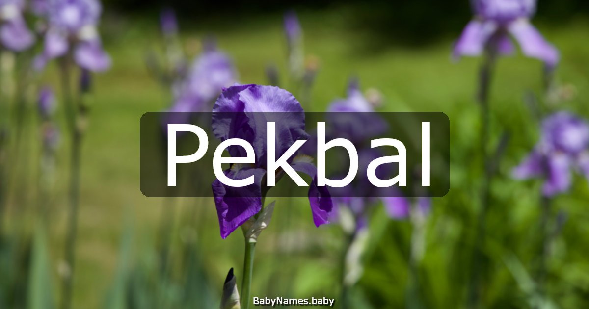 Pekbal