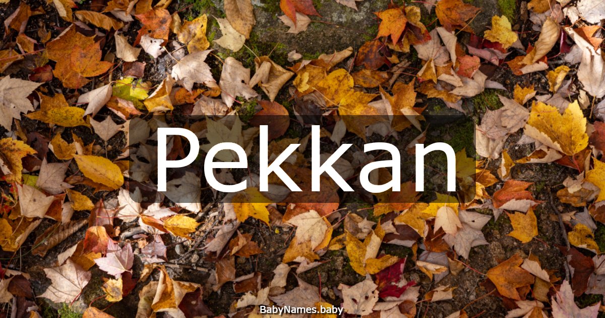 Pekkan