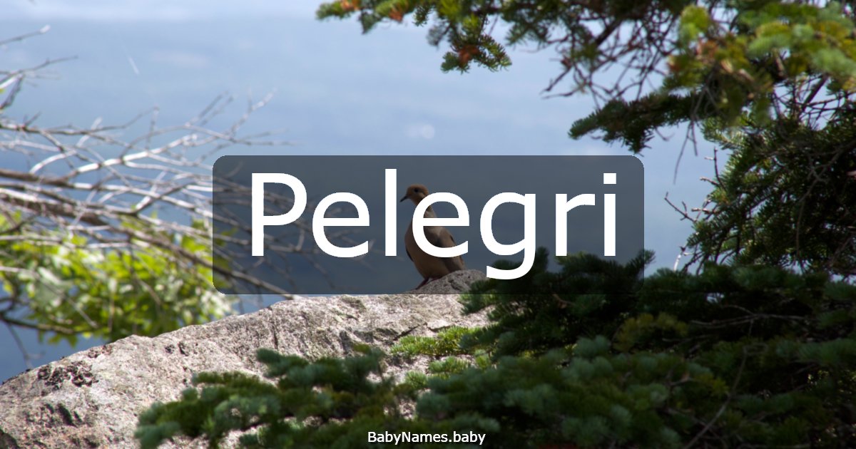 Pelegri