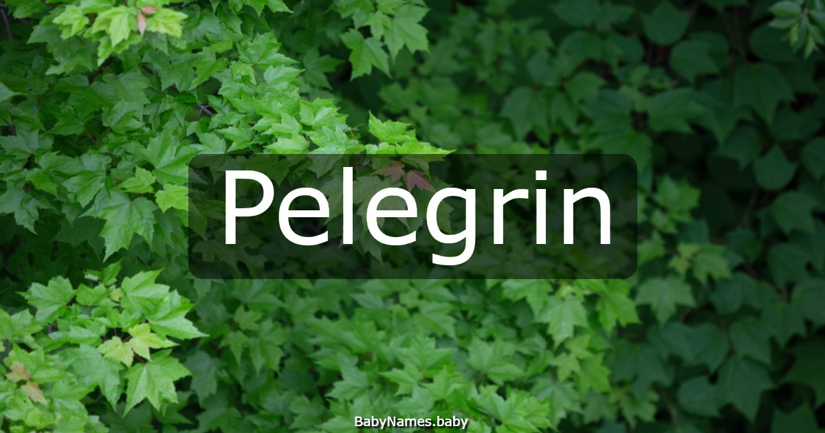Pelegrin
