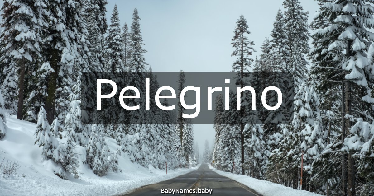 Pelegrino