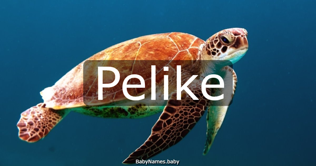 Pelike