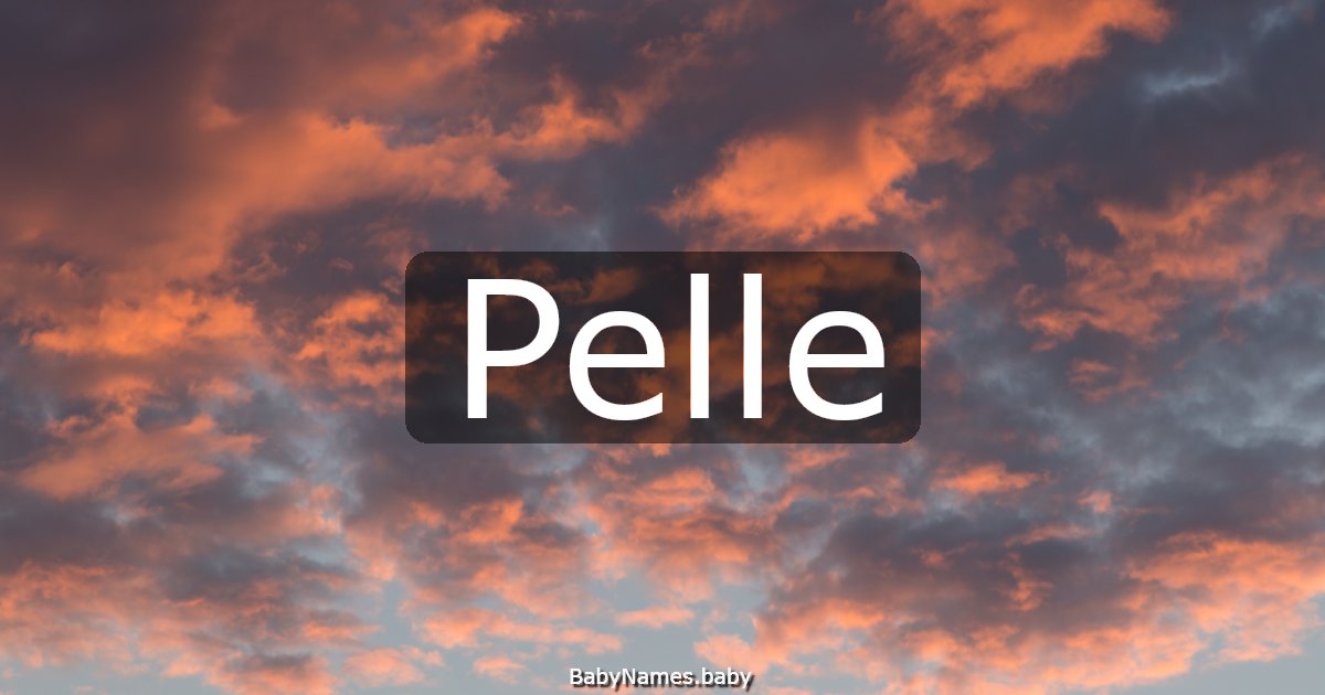 Pelle