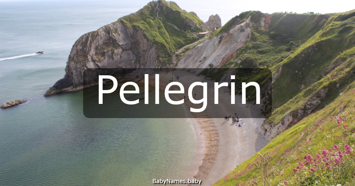 Pellegrin
