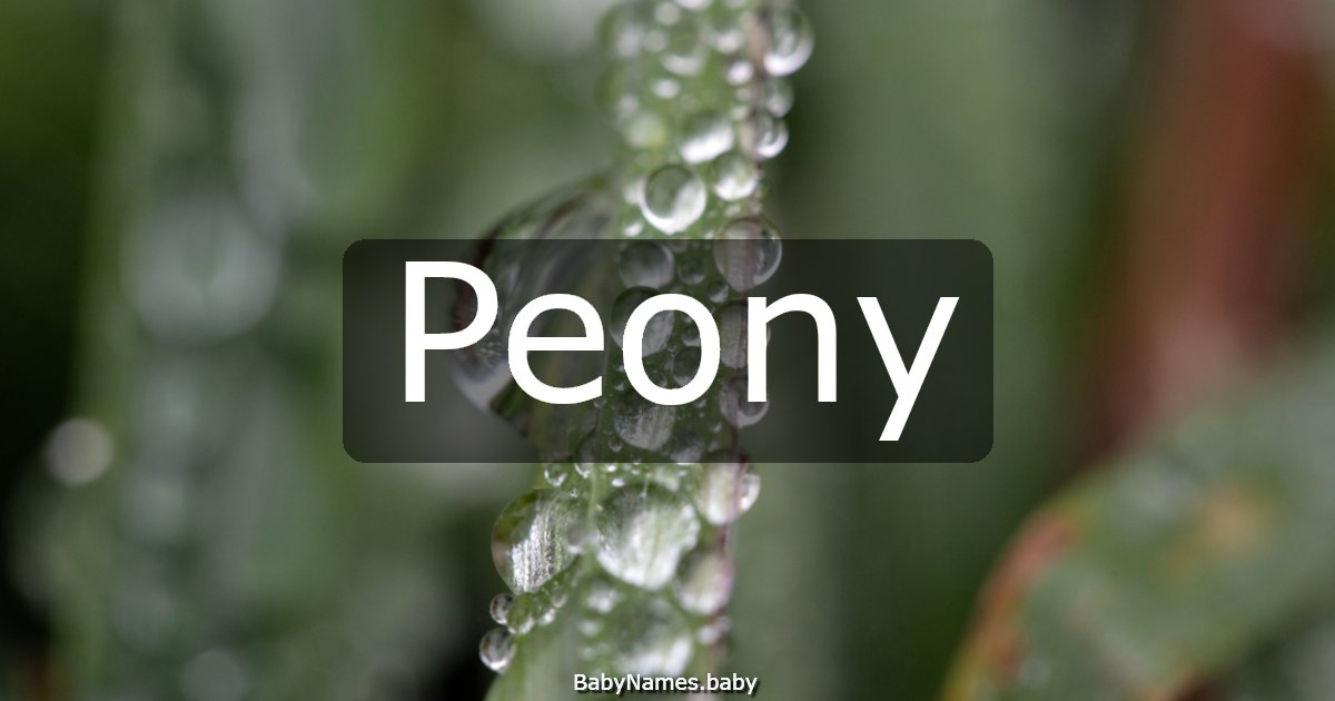 Peony