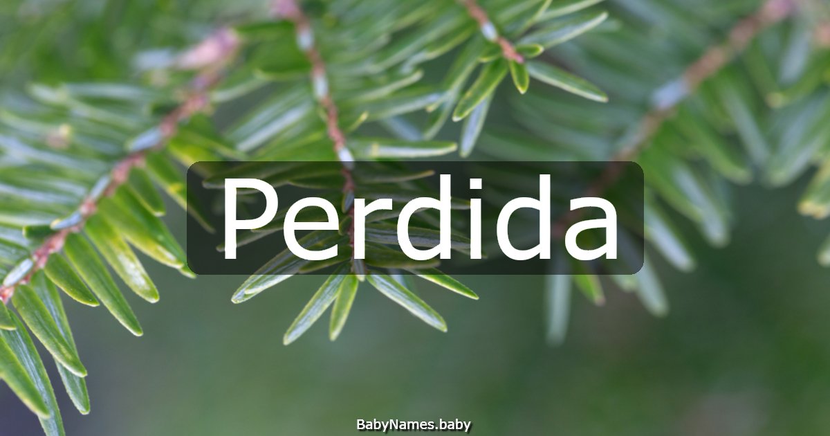 Perdida
