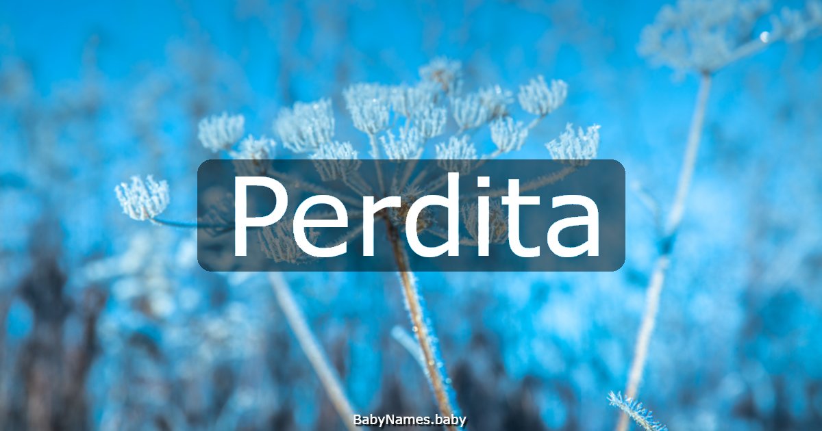 Perdita
